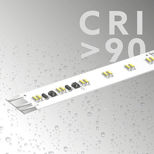 Steckverbinder male, 2polig, IP67, 0,5m